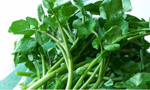 Water Cress For Cooking